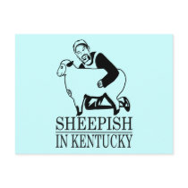 Sheepish In Kentucky Postcard