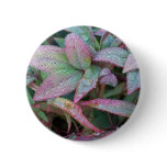 Sheffield Village Pinback Buttons