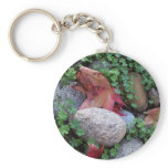 Sheffield Village keychains