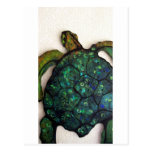 Sheldon the Sea turtle Post Card