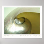Shell #4 posters
