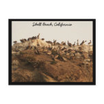 Shell Beach, California postcards