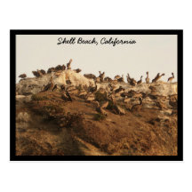 Shell Beach, California Postcard