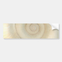 Shell - Conchology - White Spiral Bumper Stickers