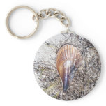 Shell Forgotten Key Chain