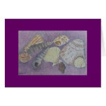 shell selection cards