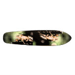 Shell skateboards