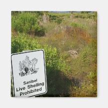 Shelling Sign on Sanibel Island Magnets