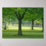 Shellis Canvas Print, Unframed "The Magic Forest"