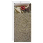 Shells and Rose rack cards
