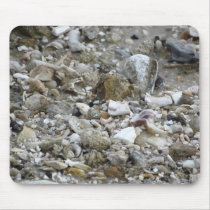 Shells At Island Park Mousepad