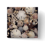 Shells buttons