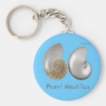 Shells Collection by FishTs.com Key Chain