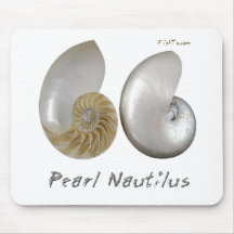 Shells Collection by FishTs.com Mouse Mat