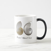 Shells Collection by FishTs.com Mug