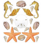 Shells Galore t-shirts