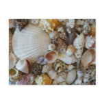 Shells Of Sanibel postcards
