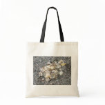 Shells On A Cornish Beach bags