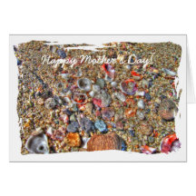 Shells on the Beach; Happy Mothers Day Card