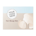 Shells postcards