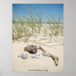 Shells Poster posters