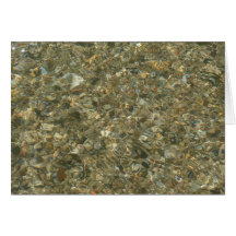 Shells under Rippling Water Card