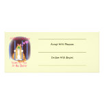 Shelter Cat Custom Announcements