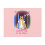 Shelter Cat postcards