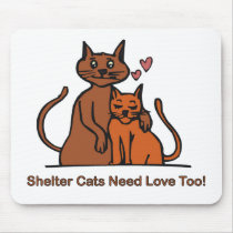Shelter Cats Need Love Too!