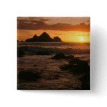 Shelter Cove Pinback Button