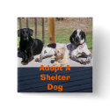Shelter Dogs Button