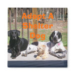 Shelter Dogs Magnet