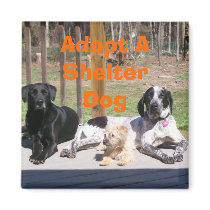 Shelter Dogs Magnet