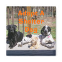 Shelter Dogs Magnet