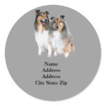 Sheltie Address Label stickers