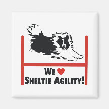 Sheltie Agility Love Fridge Magnet