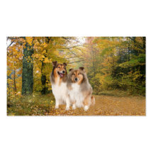 Sheltie Breeder Business Card