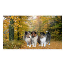 Sheltie Breeder Business Card