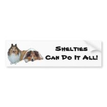 Sheltie Bumper Sticker