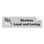 Sheltie Bumper Sticker bumper stickers