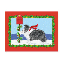 Sheltie Christmas Mail Bi Black Postcards