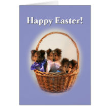 Sheltie Easter Basket Cards