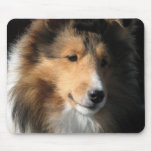 Sheltie face mouse pad