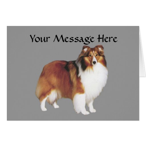 Sheltie Greeting Card