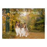 Sheltie Greeting Card