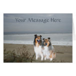 Sheltie Greeting Card