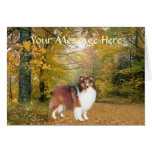 Sheltie Greeting Card