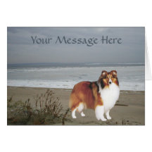 Sheltie Greeting Card