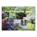 Sheltie Greeting Card