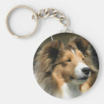 Sheltie head study on a key chain